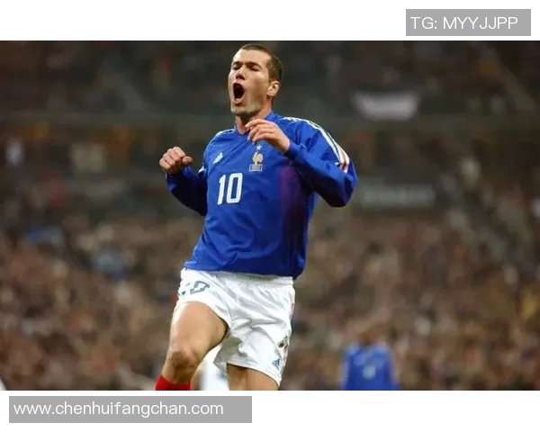 马拉多纳:神之手下的足球传奇 马拉多纳:神之手下的足球传奇