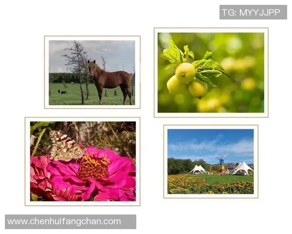 小军图库带你领略多彩世界的美丽瞬间与独特视角