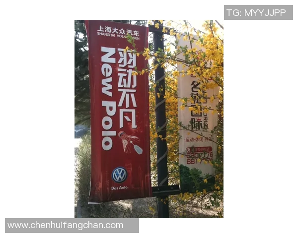 滚球比分直播90vs实时更新助你掌握比赛动态尽享精彩赛事体验