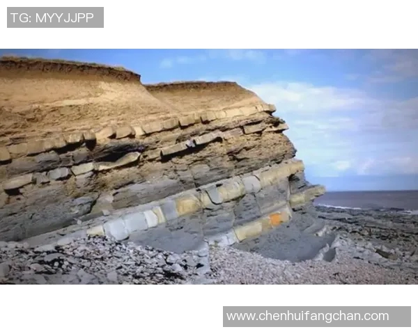 探索阿拉巴的独特魅力与文化遗产，揭示这片土地的历史与未来发展潜力